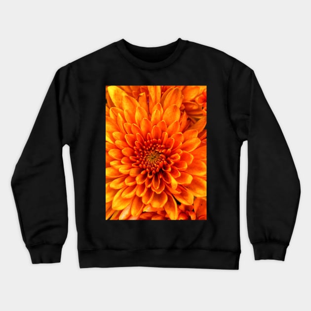 Gerbera daisy Crewneck Sweatshirt by Mabocoh